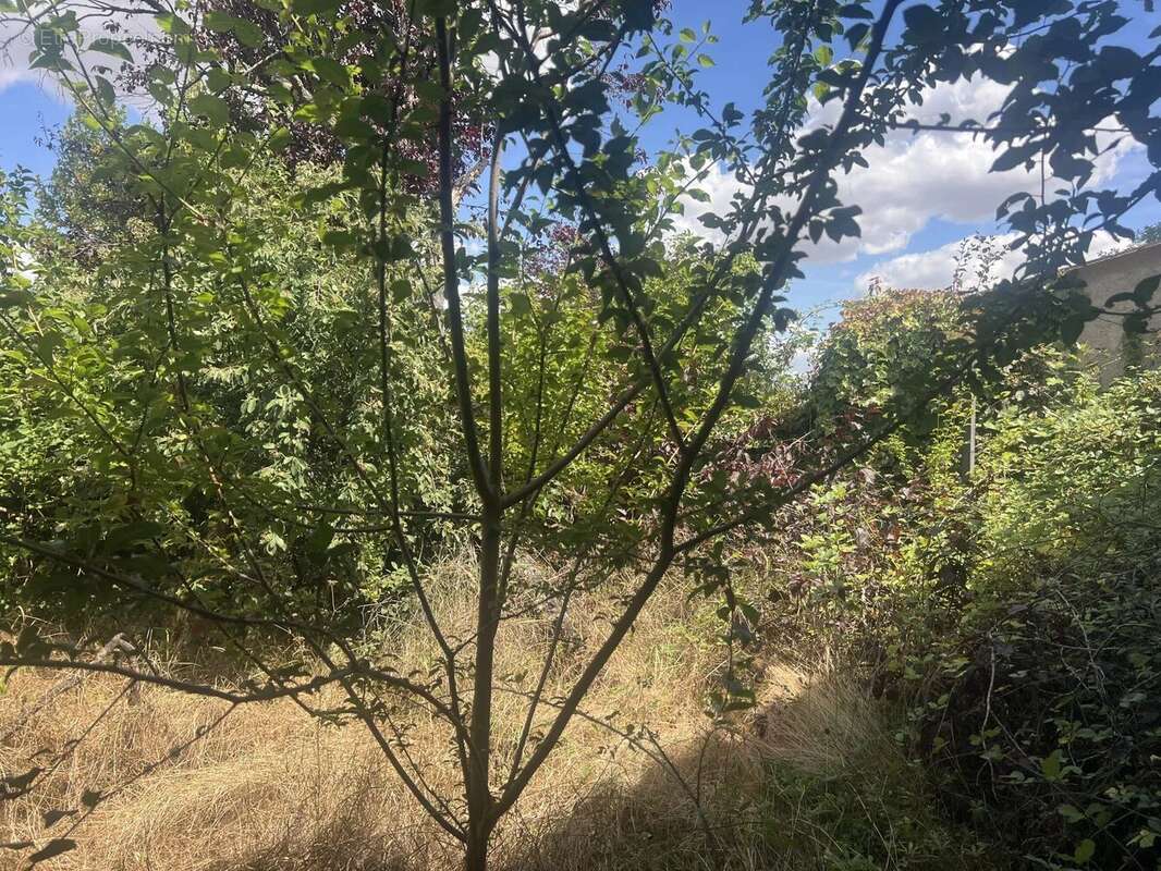Vente Maison Queaux(86150) 54 000ï¿œ - photo 4