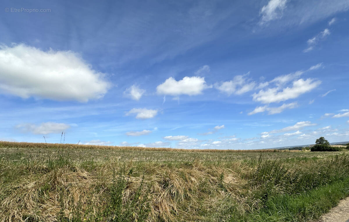 Terrain à SON