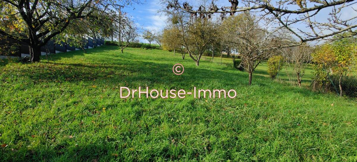 Terrain à PIERREVILLE