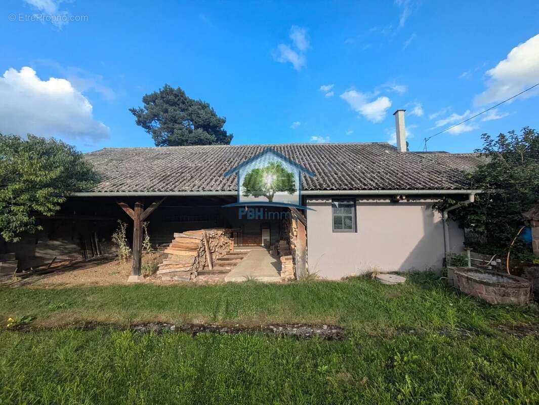 OBERMODERN (67) - Maison 130m² (165m² au sol) avec Cave, Dépendances (160m²) et Jardin sur 10.30 ares - photo 17