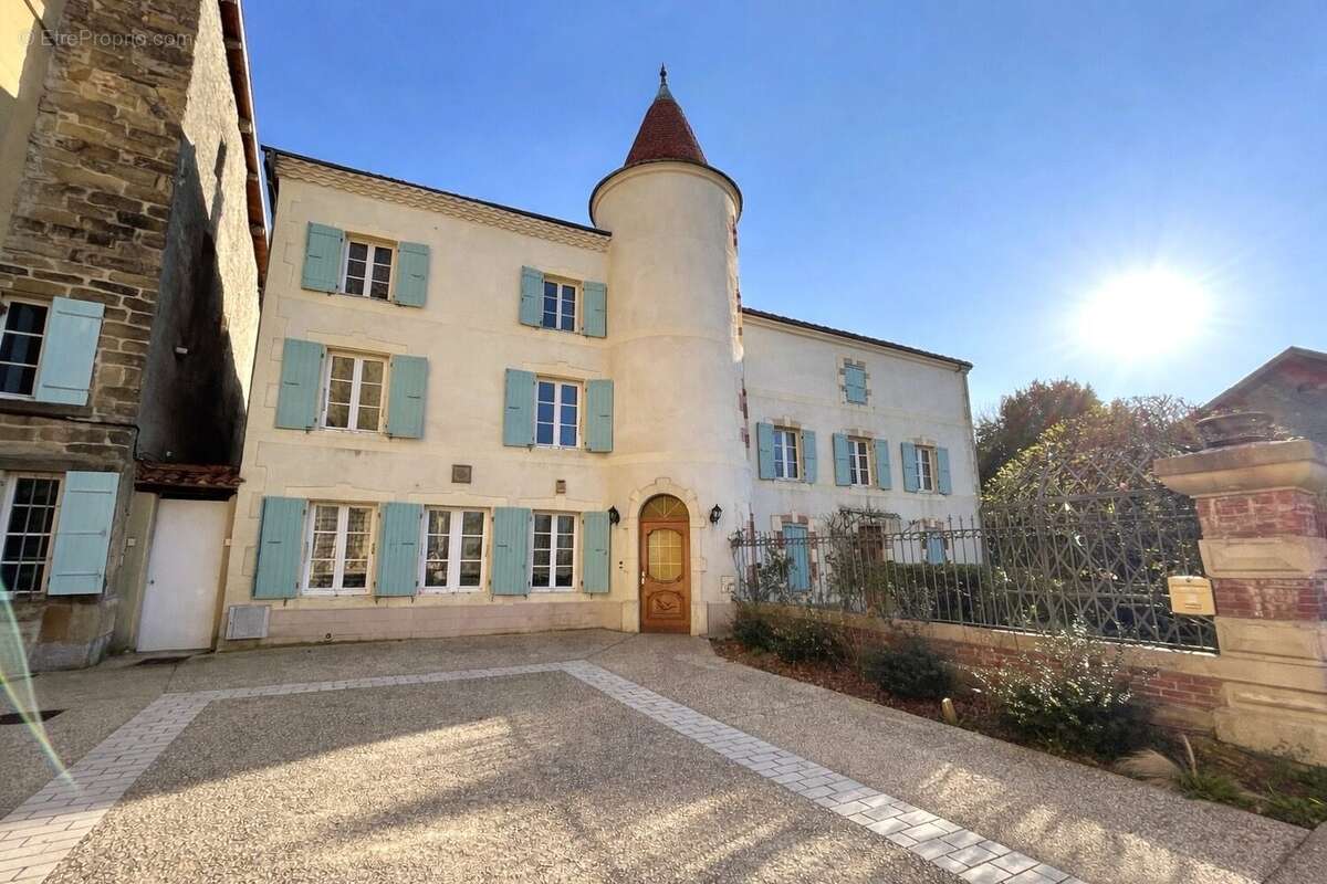 Maison 294 m² à Le Grand-Serre  - photo 2