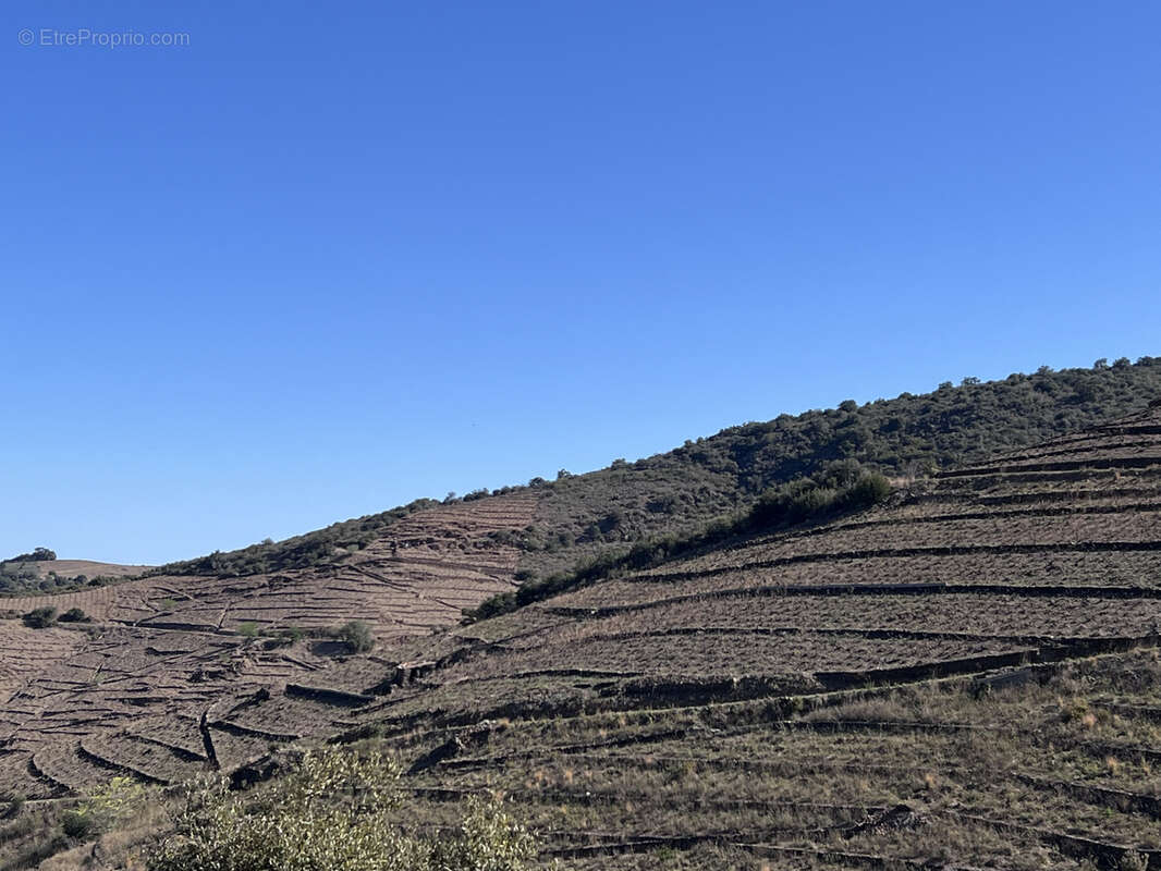 Terrain à BANYULS-SUR-MER