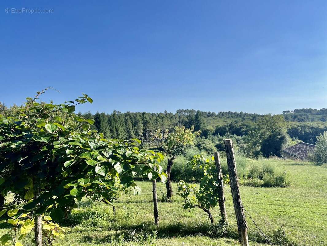 Appartement à BLANQUEFORT-SUR-BRIOLANCE