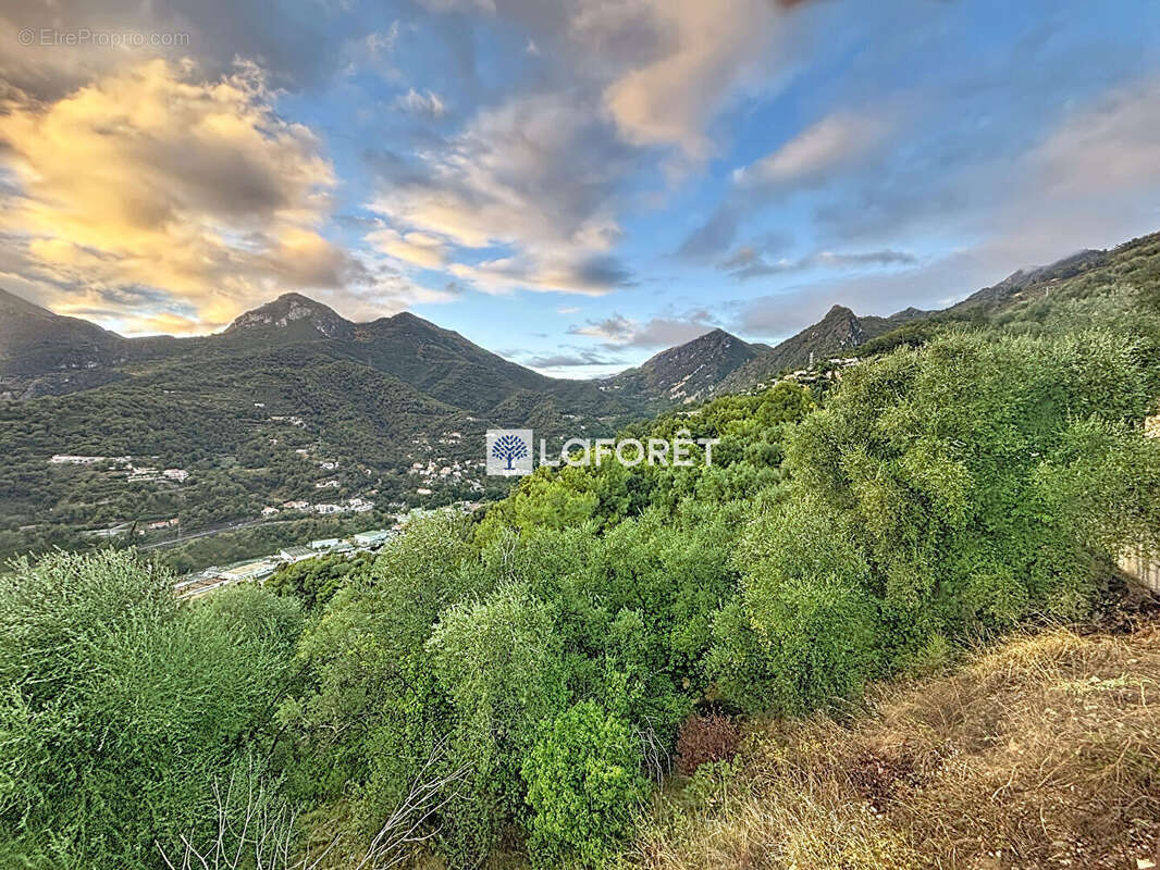 Terrain à CASTELLAR