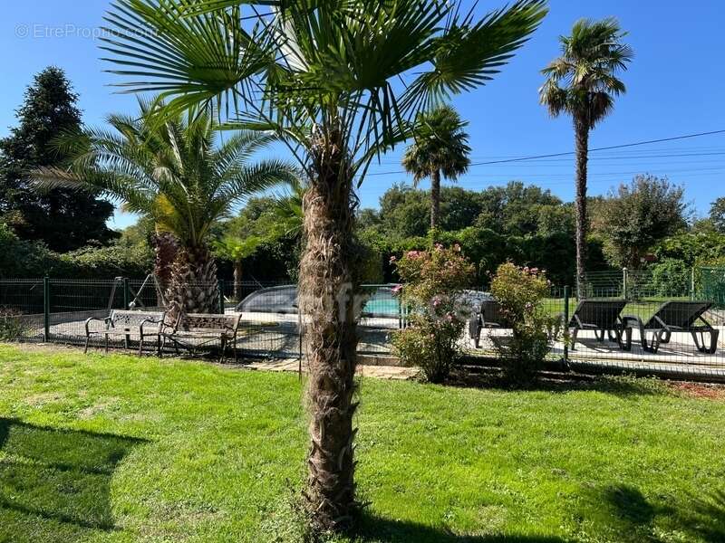 Maison à CHEVANCEAUX