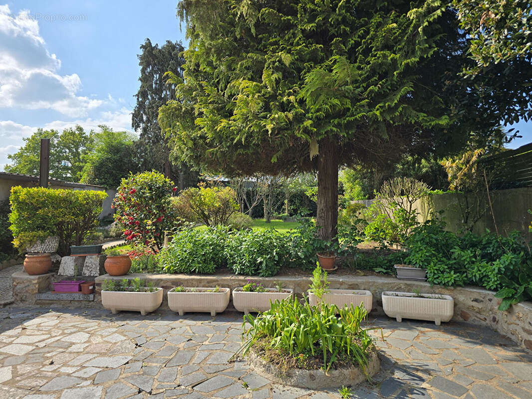 Maison à COSSE-LE-VIVIEN