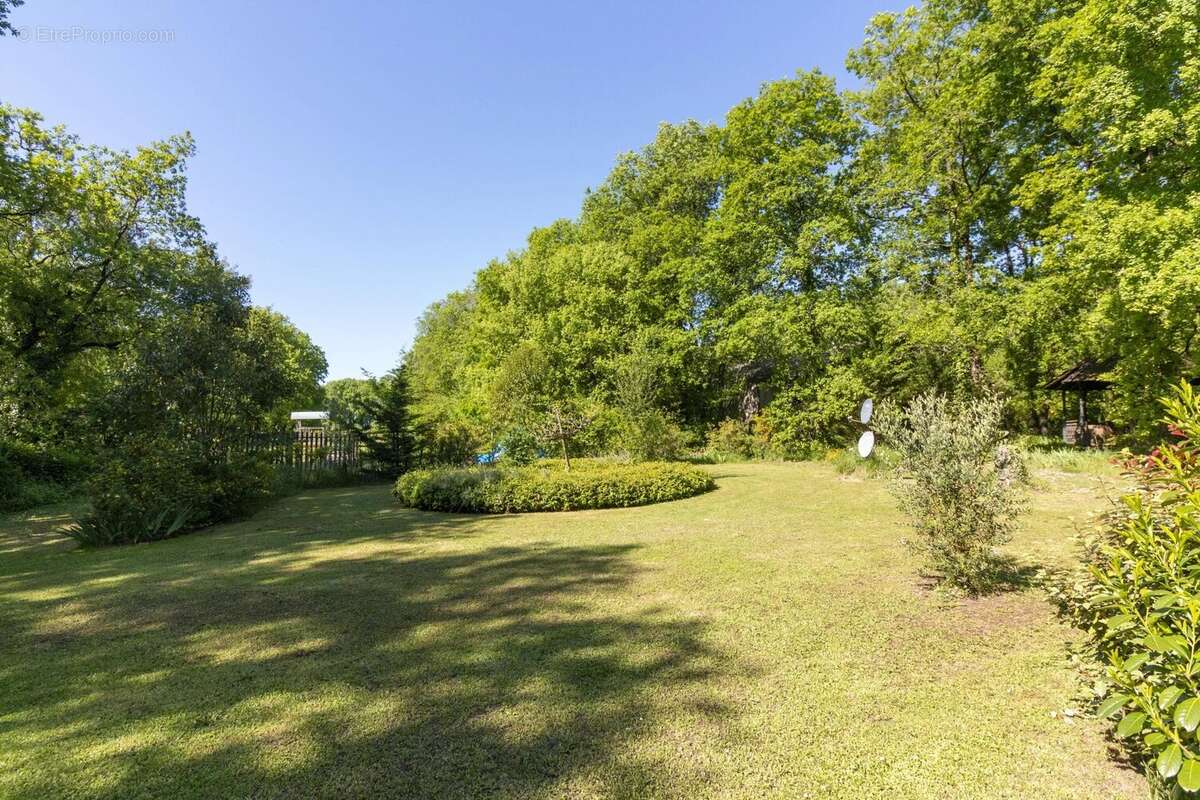 Maison spacieuse avec piscine, grandes dépendances et terrain - photo 14