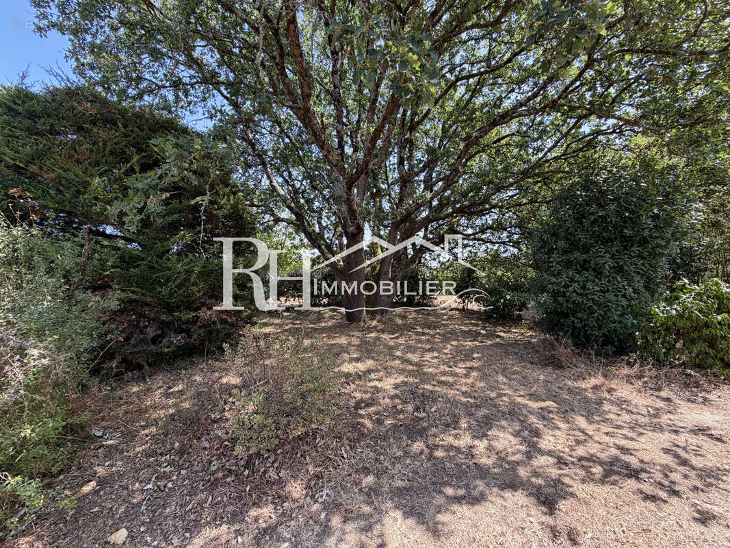Maison 4 chambres, 2712m2 de terrain - photo 8