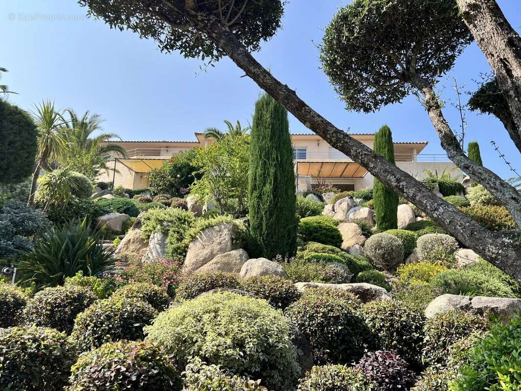 Maison à PORTO-VECCHIO