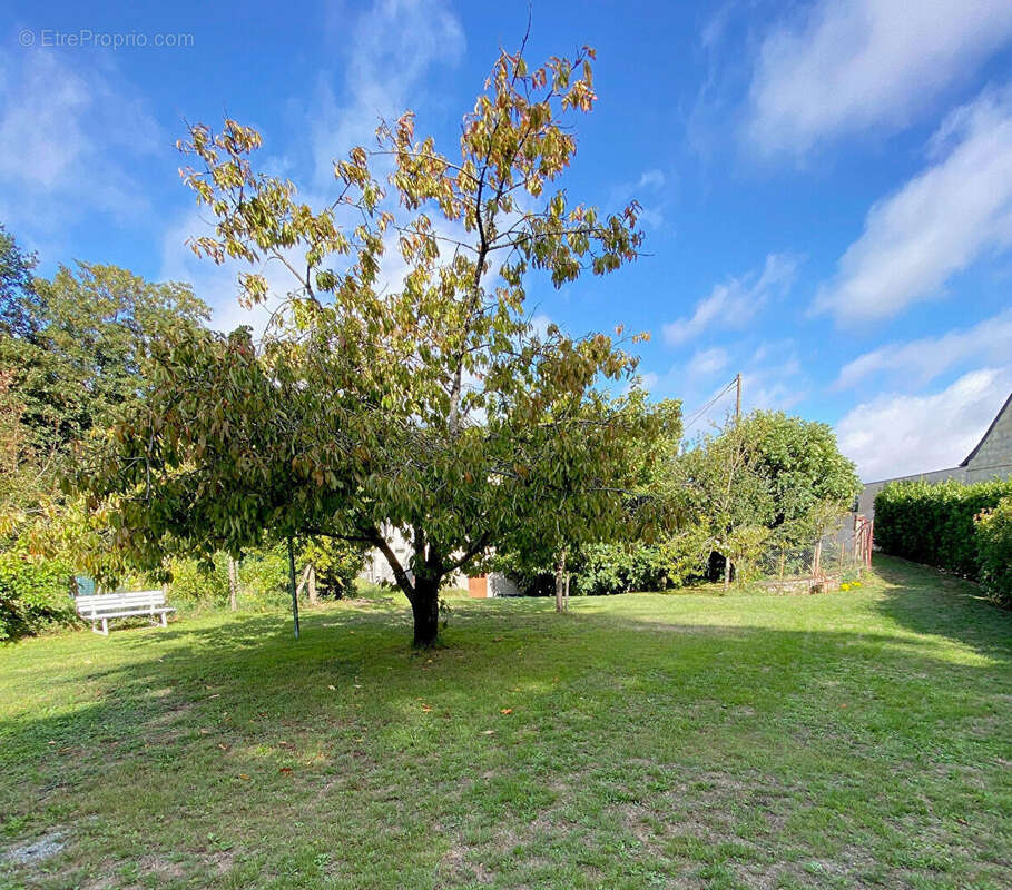 Maison à BRISSAC-QUINCE