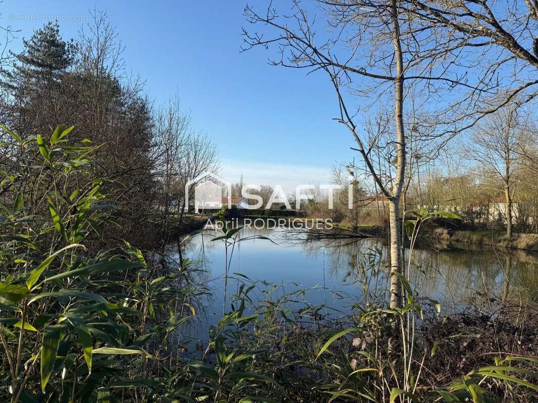 Photo 2 - Terrain à LA REORTHE