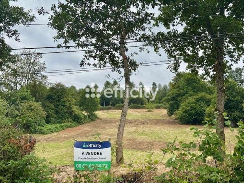 Terrain à LA MONNERIE-LE-MONTEL