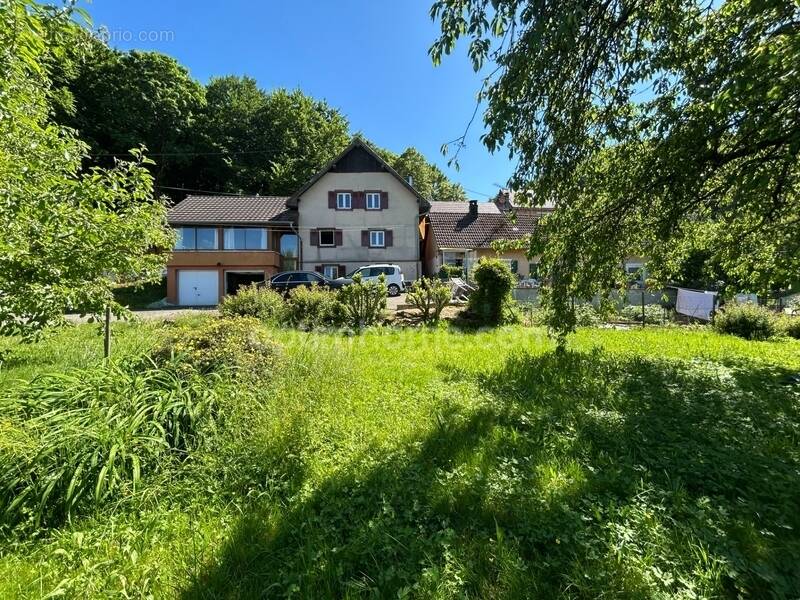 Maison à VIEUX-FERRETTE