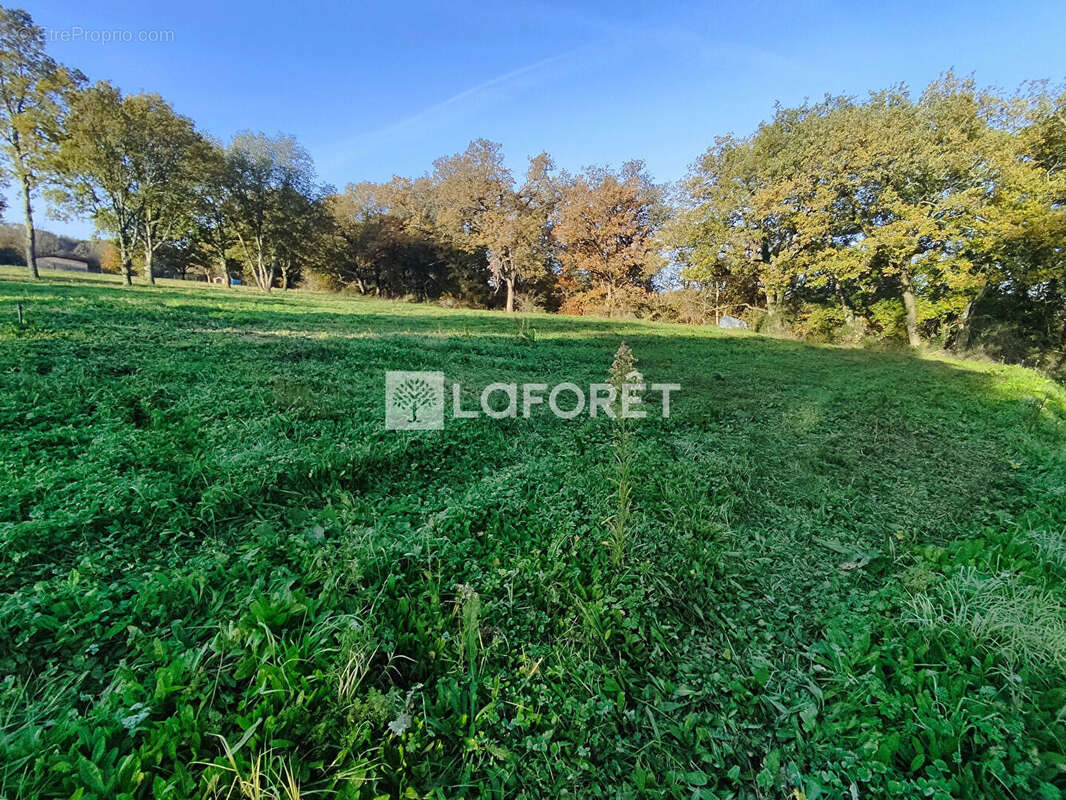 Terrain à PUYDANIEL