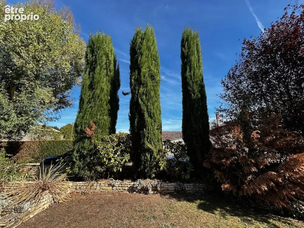 Belle maison en pierre 235m2, 4 chambres, piscine et annexe - photo 30
