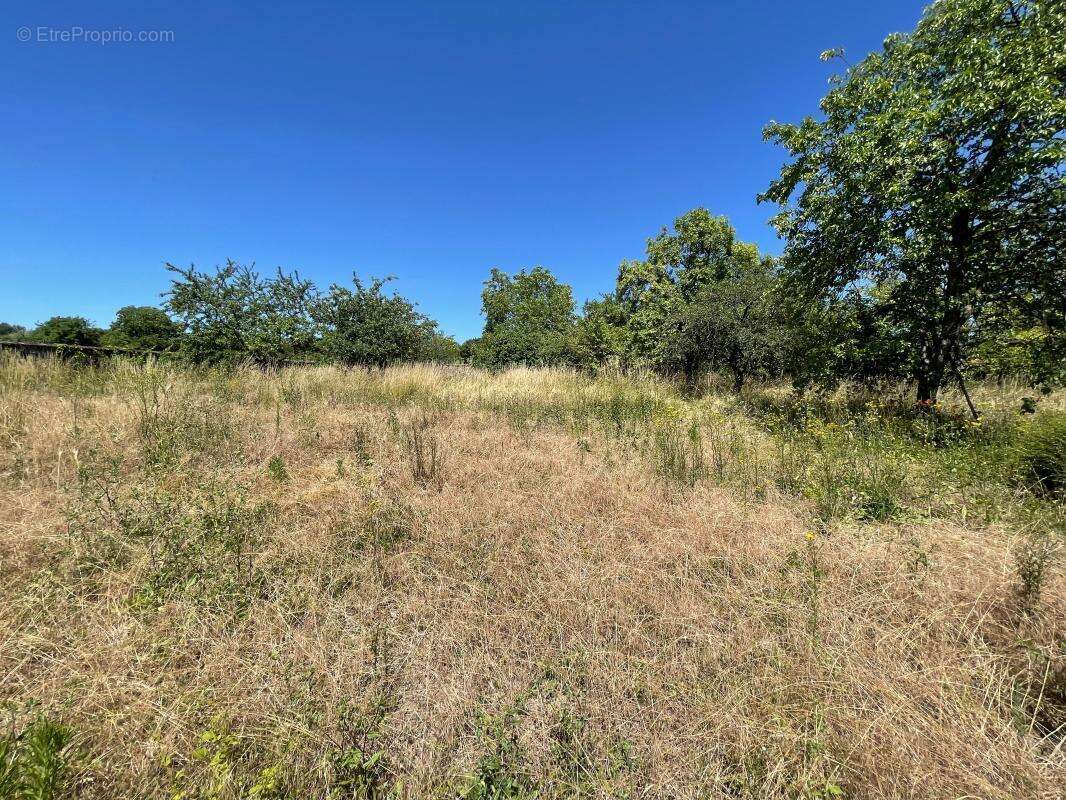 Maison à LIZY-SUR-OURCQ