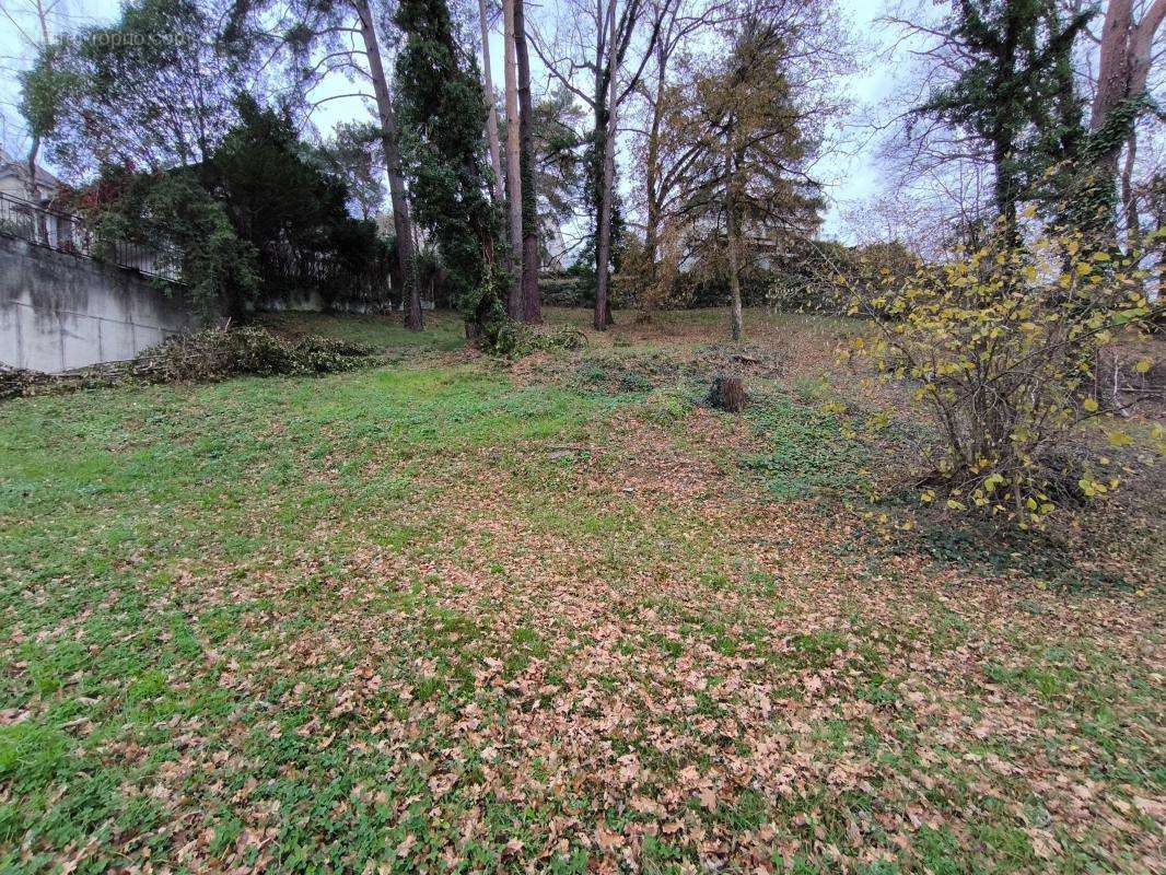 Terrain à BRIVE-LA-GAILLARDE