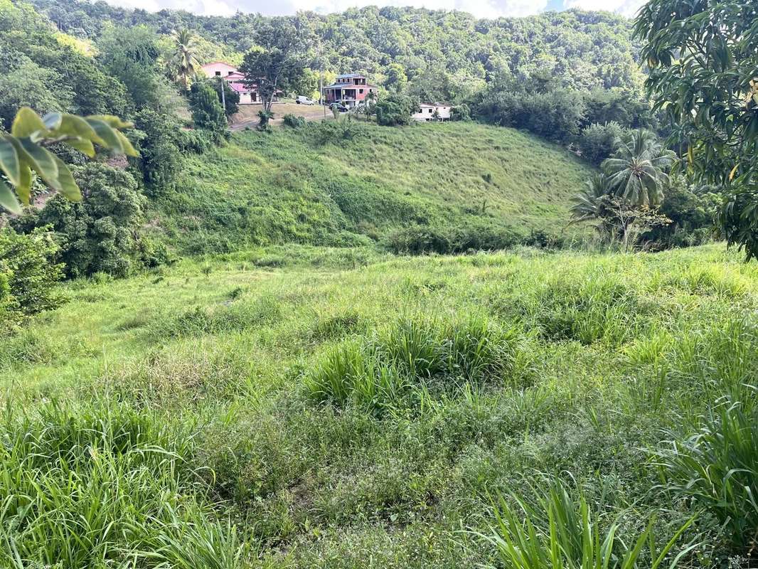 Terrain à RIVIERE-SALEE