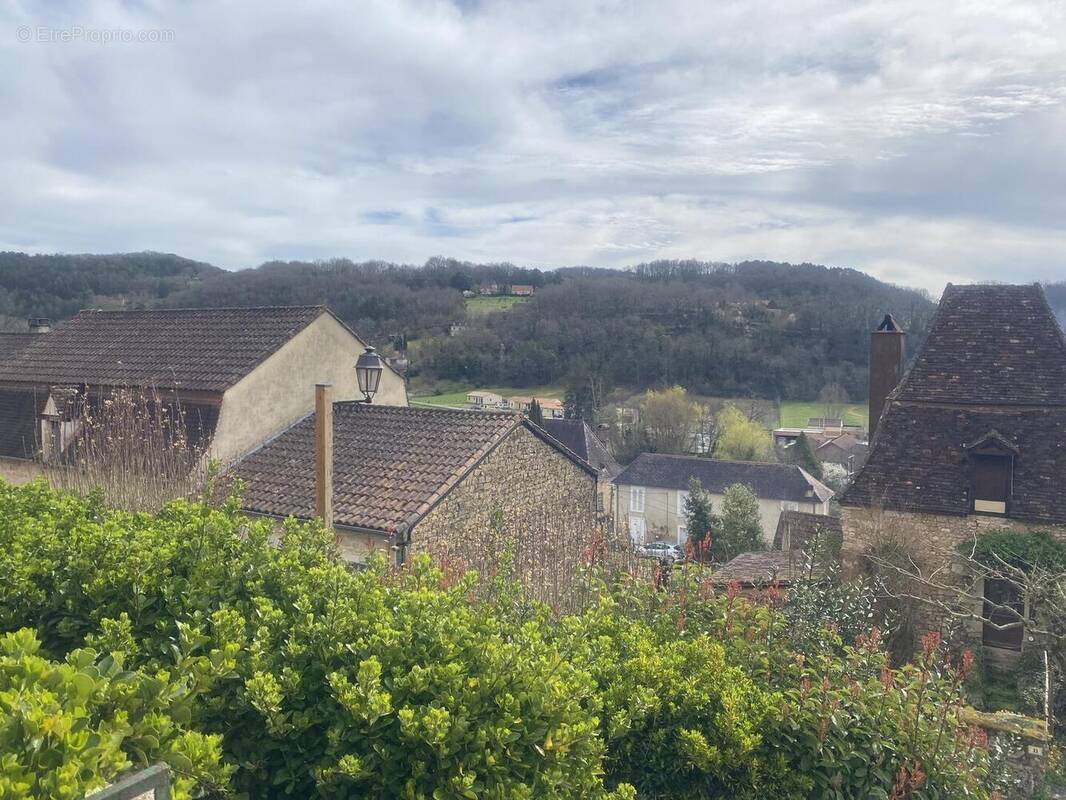 IMG6388 - Maison à SAINT-CYPRIEN