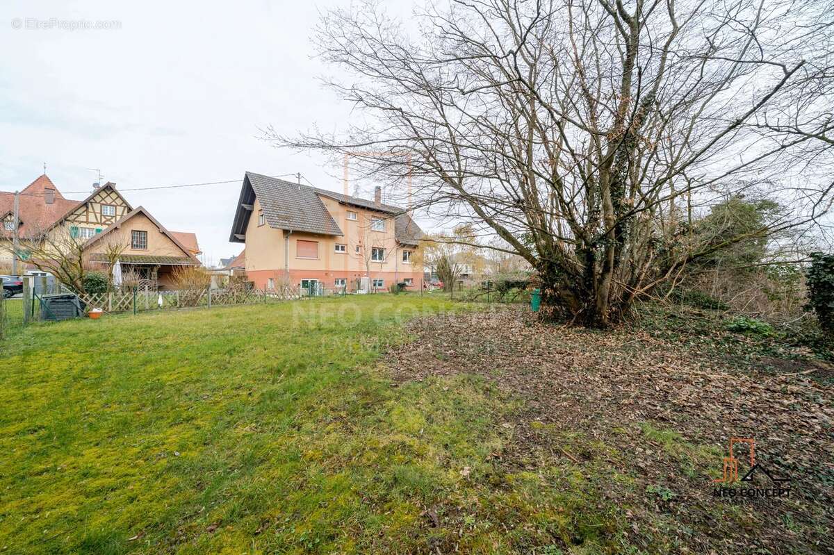 Appartement à SESSENHEIM