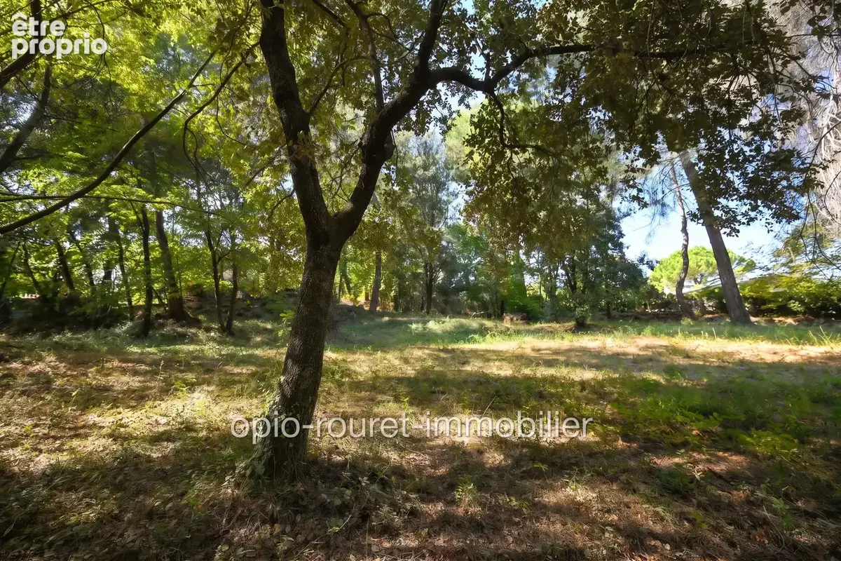 Terrain 1 694 m² à vendre à Roquefort-Les-Pins (06330) - photo 7