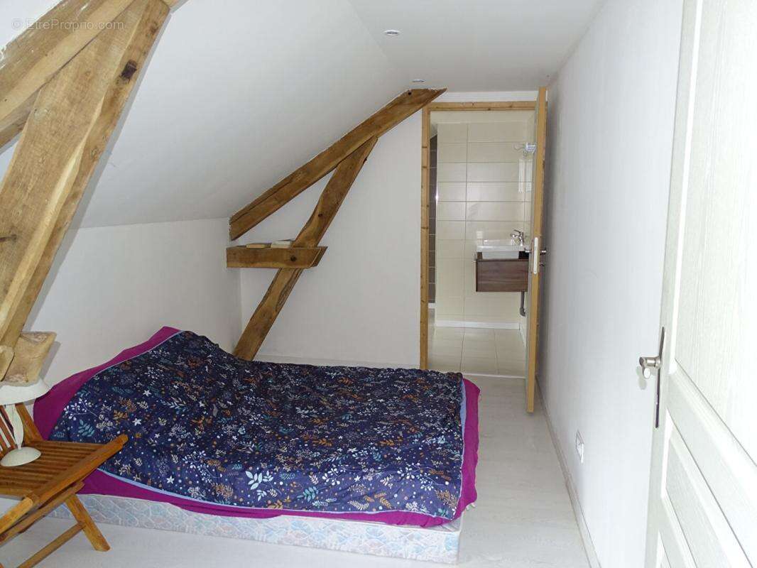 Ensemble immobilier Saint Leon Sur Vézère 8 pièce(s) 210.48 m2 - photo 10