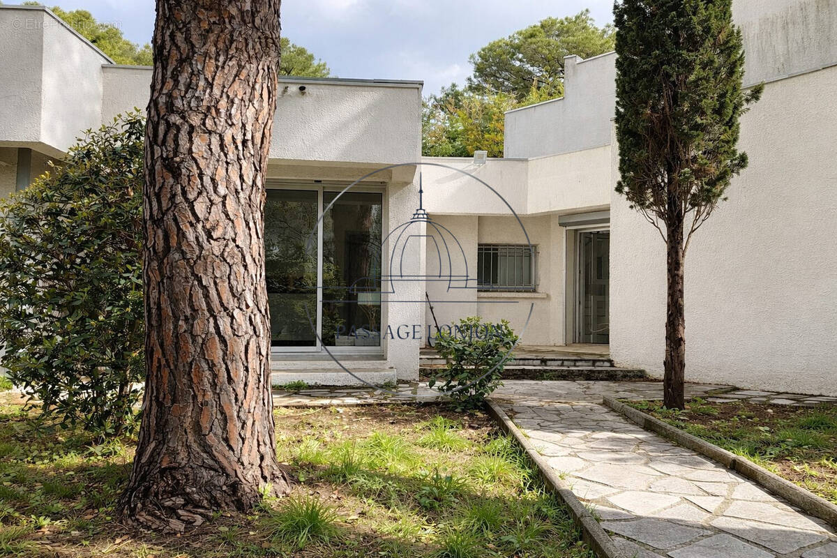 Maison à MONTPELLIER