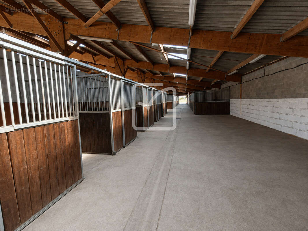 Rare   propriété équestre près de villeréal   20 ha   25 boxes   2 aires couvertes   2 habitations - photo 26