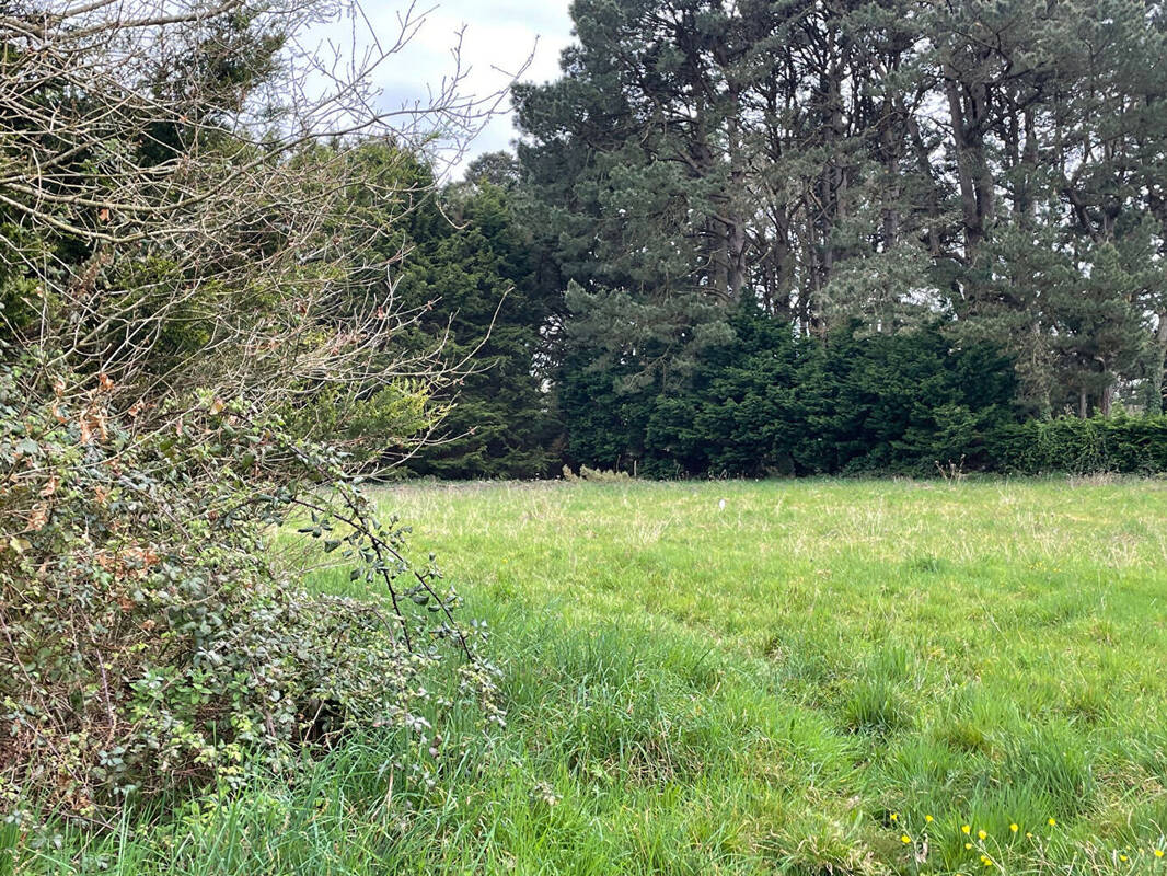 Terrain à SAINT-LYPHARD