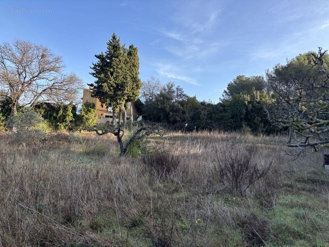 Terrain à MIRAMAS