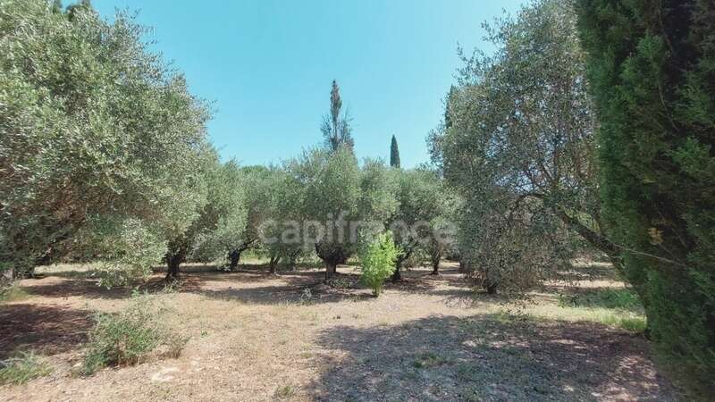 Propriete à vendre 7 pièces SAINT REMY DE PROVENCE (13) - photo 11