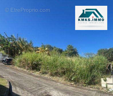 Terrain à LE LORRAIN