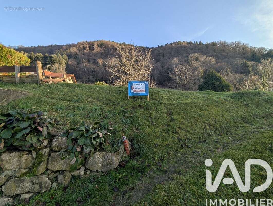 Photo 8 - Terrain à SAINT-PIERRE-D'ALLEVARD