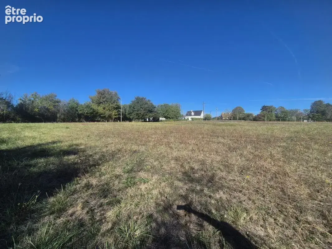 Terrain 3 998 m² à vendre à Chouzy-Sur-Cisse (41150) - photo 5