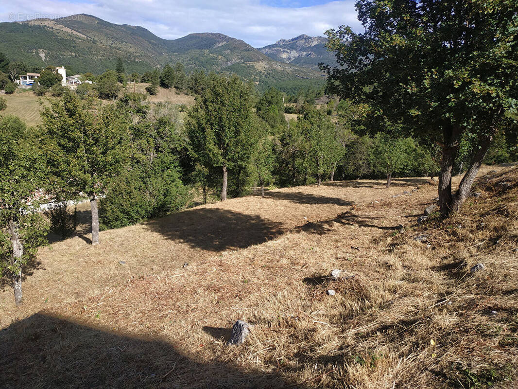 Photo 1 - Terrain à CASTELLANE