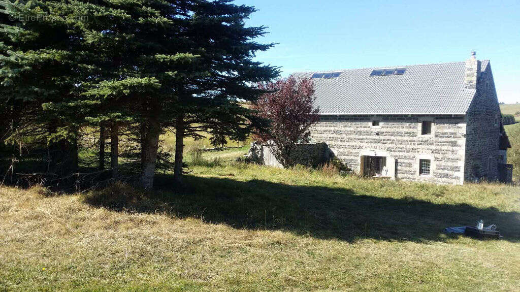 Ferme authentique - au pied du domaine de ski nordique - source - 2ha de terrain plat  - bon accès - photo 12