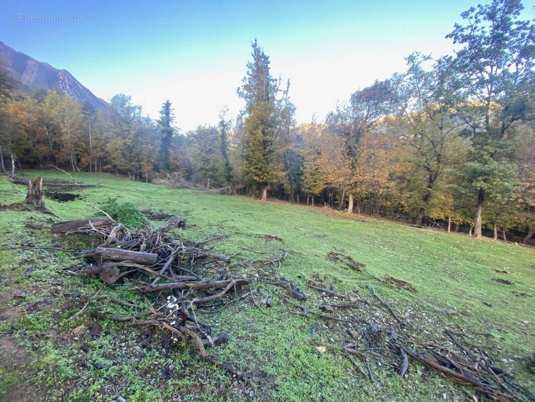 Terrain à MALAUSSENE
