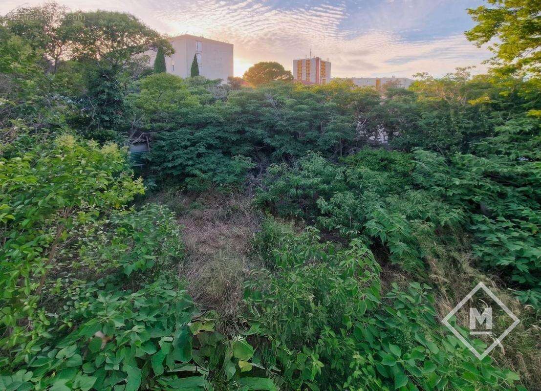 Maison 4 chambres à vendre à berre-l'étang (13130) - grand potentiel sur terrain de 985 m² - photo 8