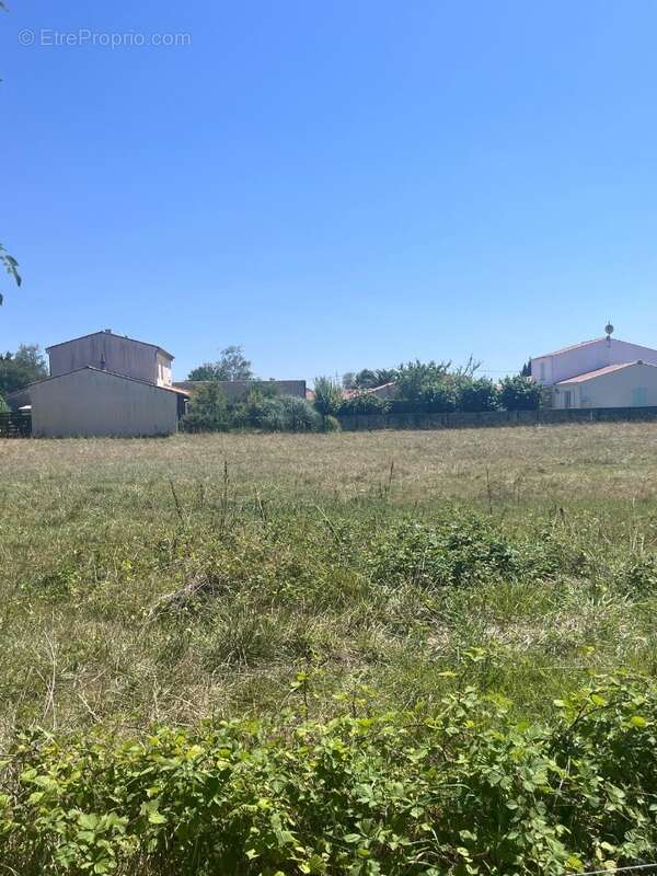Terrain à LES MATHES
