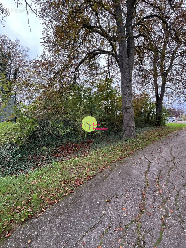 Terrain à ALTECKENDORF