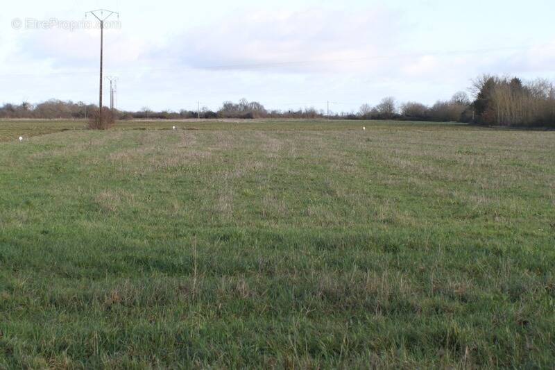 Terrain à PLEUMARTIN