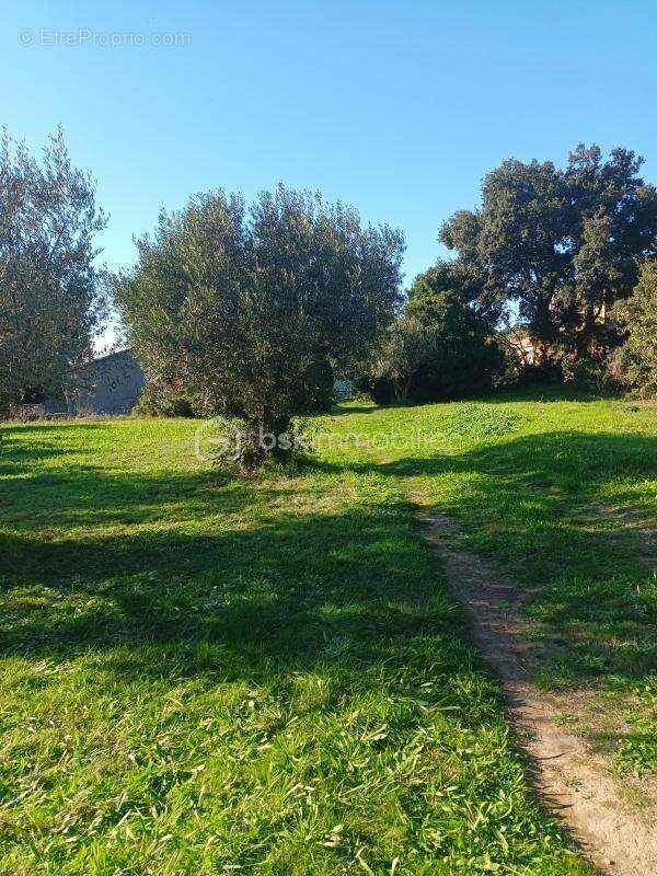 Terrain à SAINT-HILAIRE-D&#039;OZILHAN