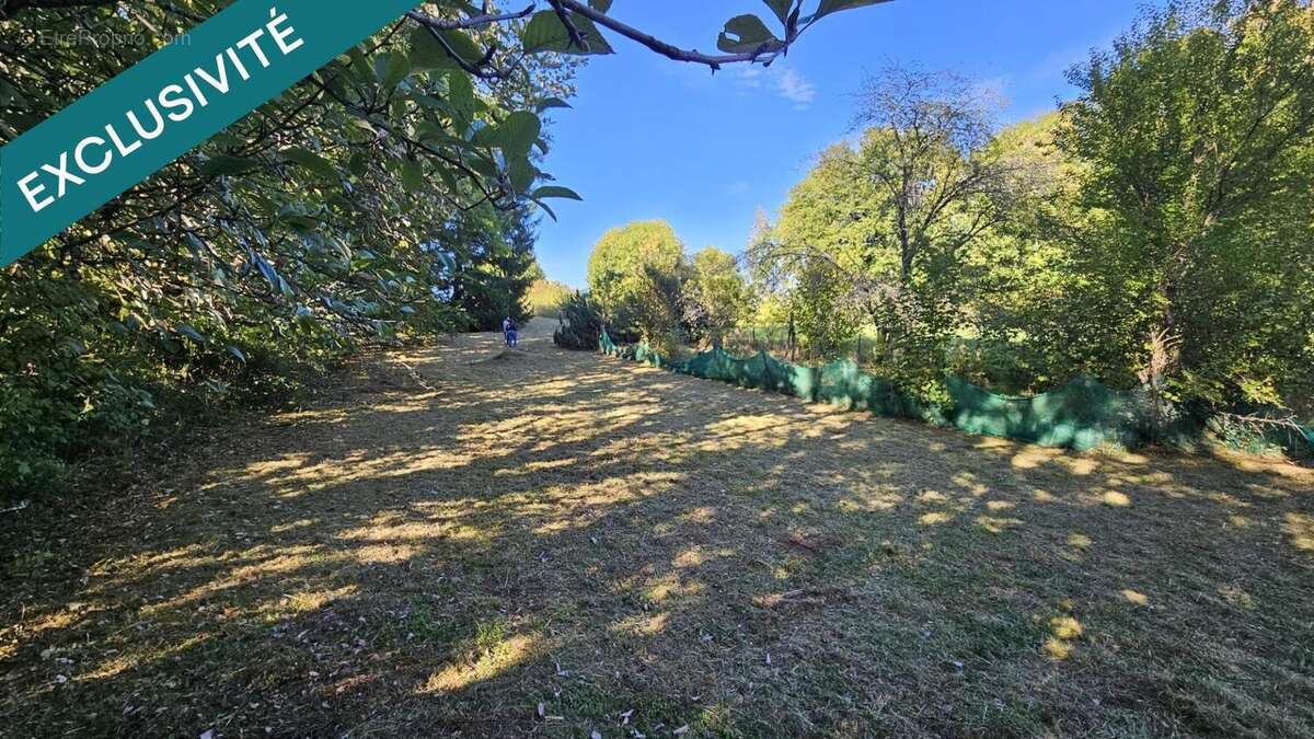 Photo 5 - Maison à HAUTEVILLE-LOMPNES