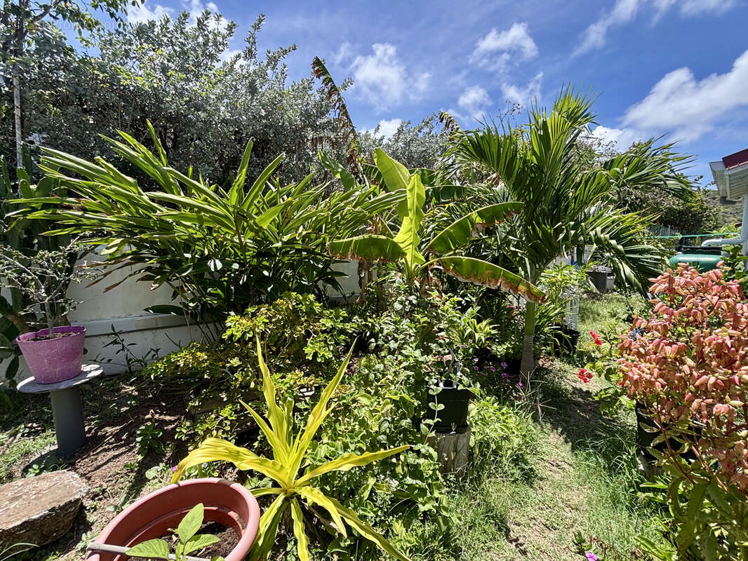 Maison à SAINT-MARTIN