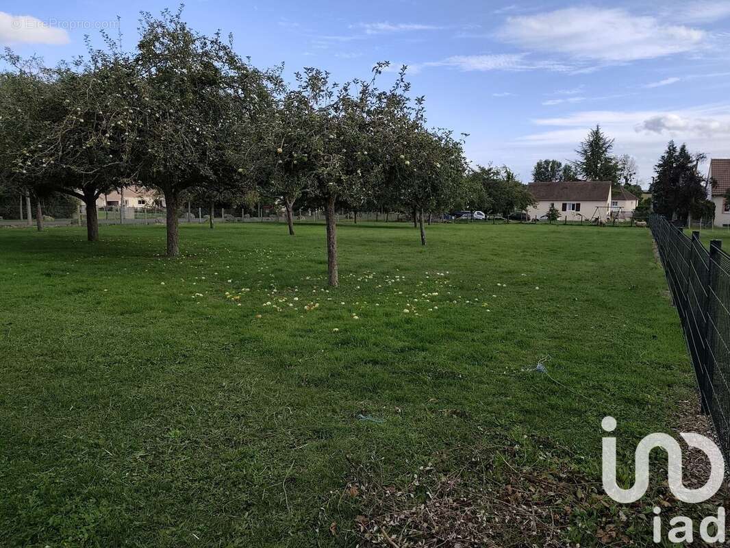 Photo 3 - Terrain à SAINT-COSME-EN-VAIRAIS