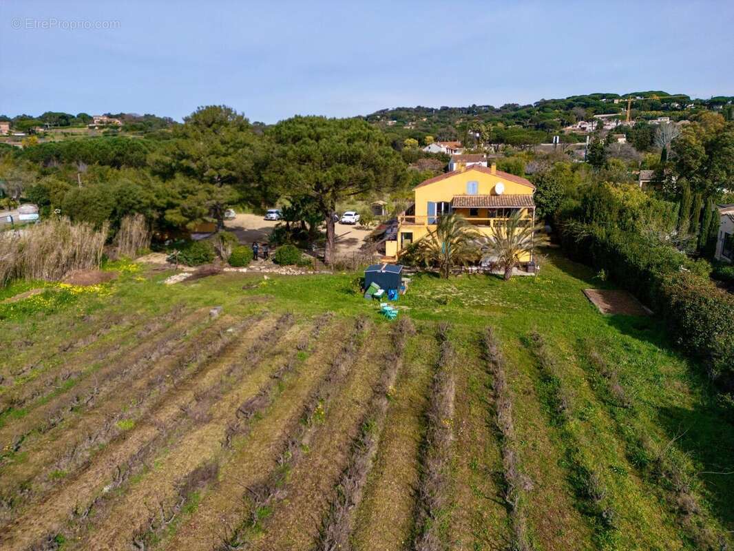 Photo 4 - Maison à RAMATUELLE