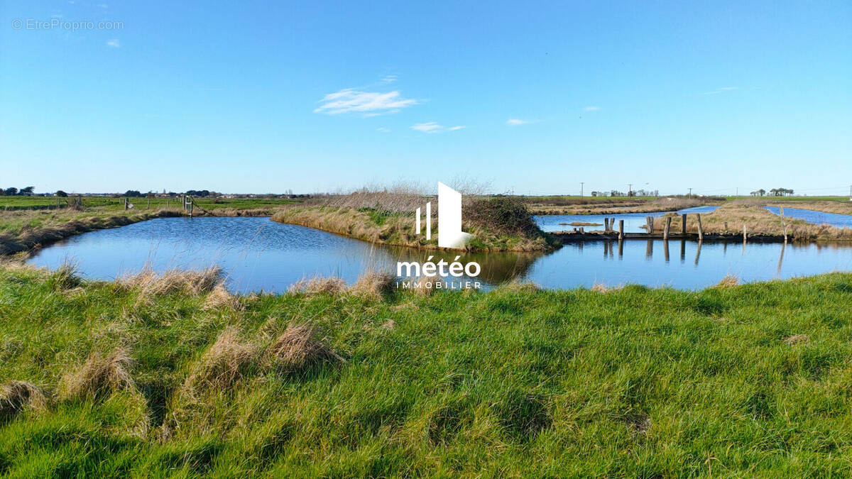 Terrain à JARD-SUR-MER
