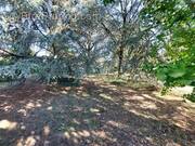 Terrain à SAINT-BONNET-DE-MURE