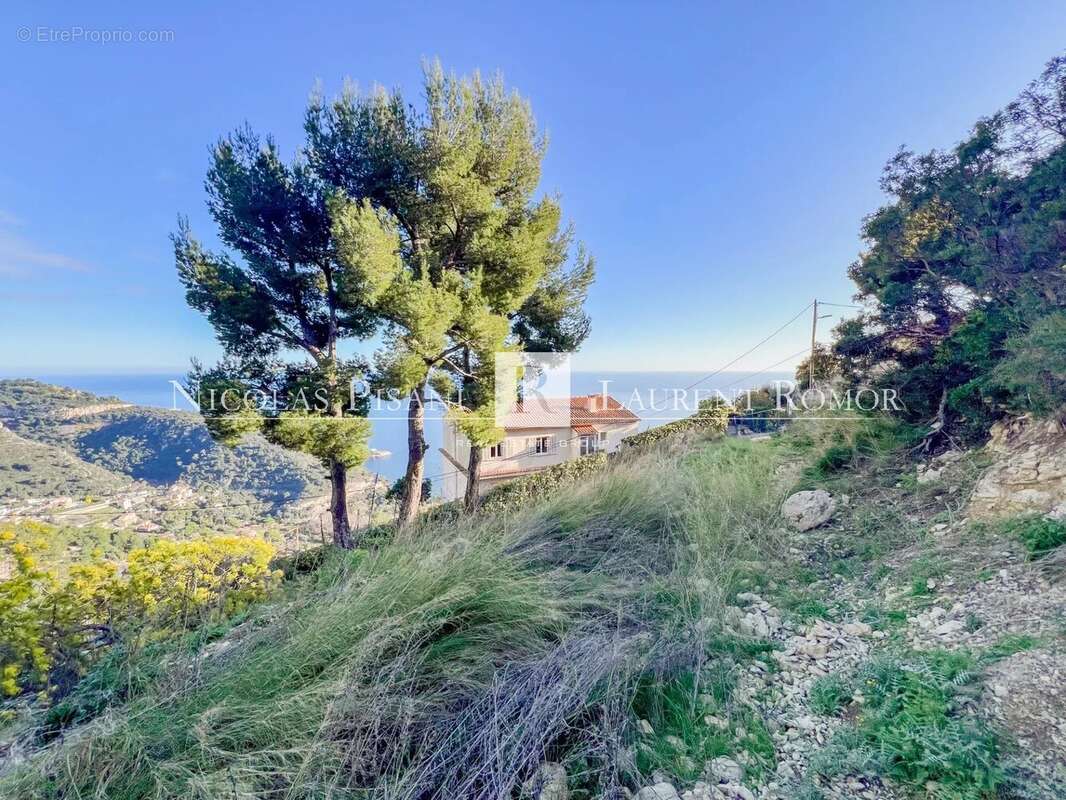 Terrain à EZE