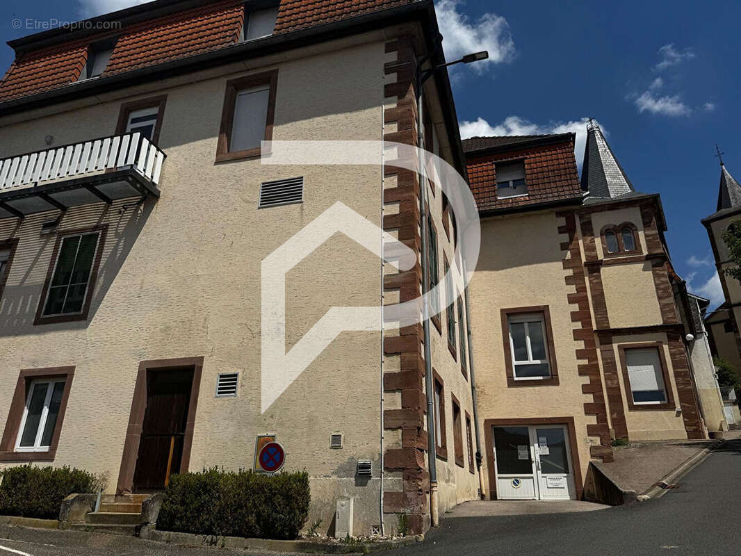 Immeuble Walscheid 2 155 m² - photo 2
